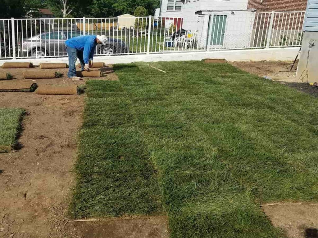 Sod Installation