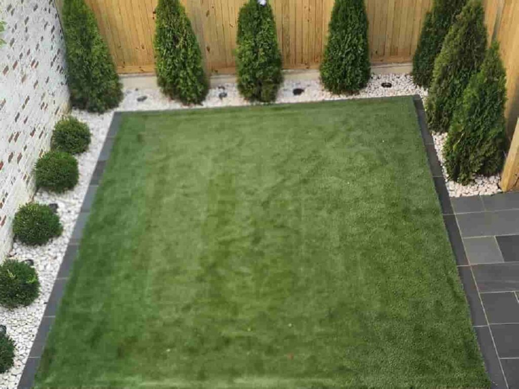 Sod Installation Services